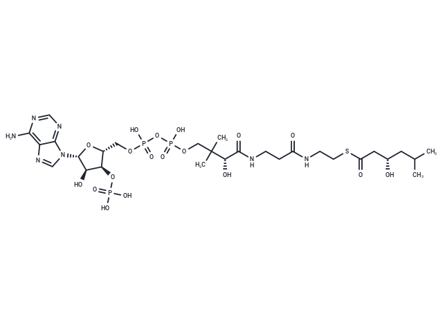 (S)-3-Hydroxyl-5-methylhexanoyl-CoA