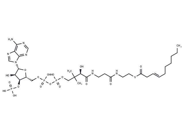 3-Decenoyl-CoA