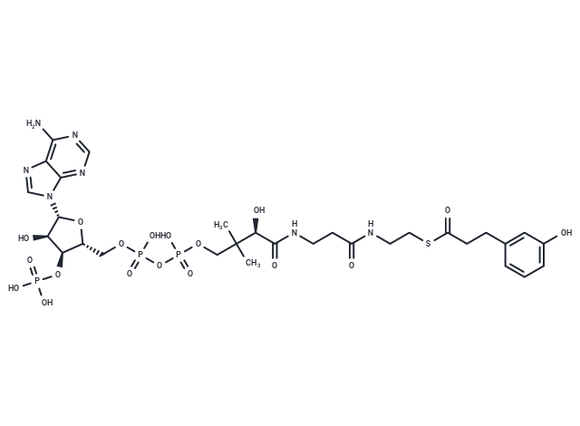 3-(m-Hydroxyphenyl)propanoyl-CoA