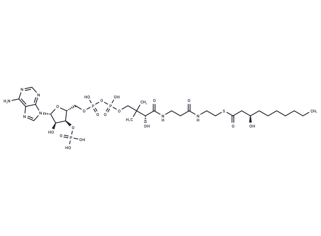 (R)-3-Hydroxydecanoyl-CoA