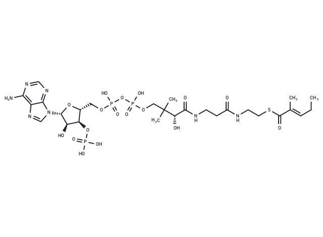 2M2PE-CoA