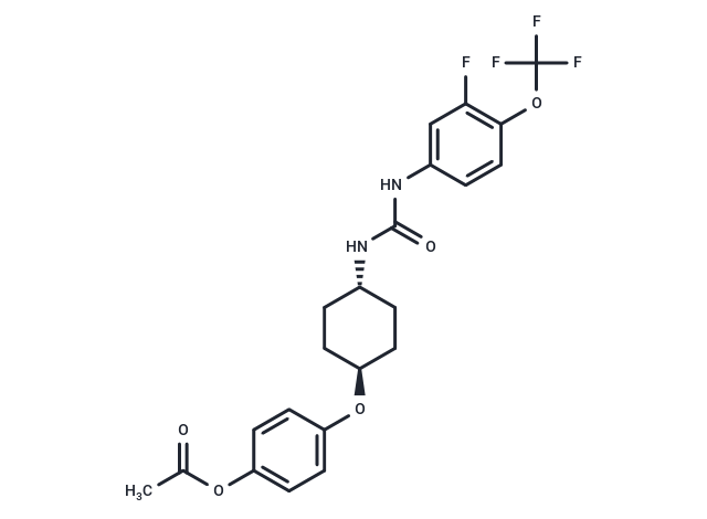 SP-C01