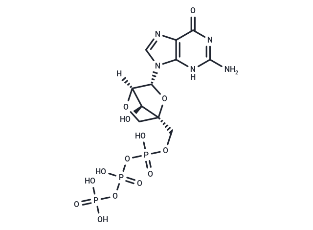 LNA-GTP