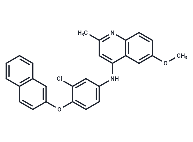 MBA-m1