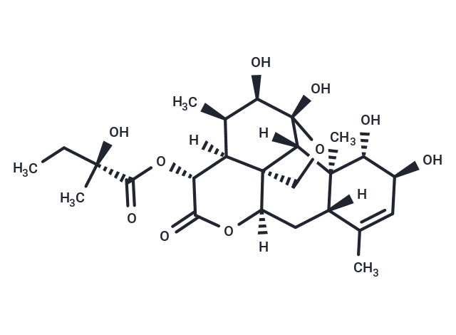 Glaucarubin