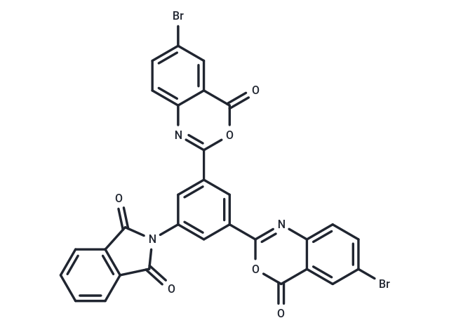 EG31