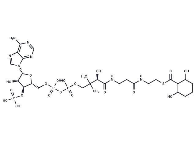 2,6-Dihydroxycyclohexane-1-carbonyl-CoA