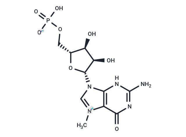 7-Methylguanosine 5′-monophosphate