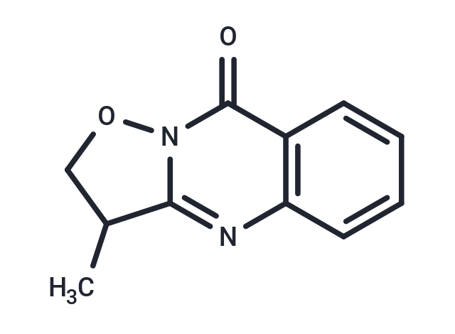 W-2451