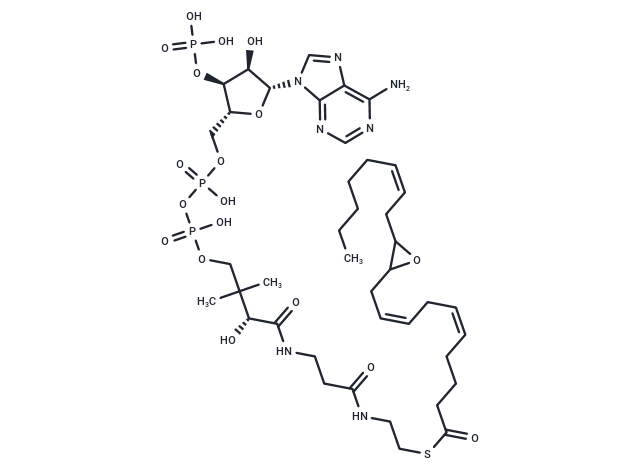 11,12-EET-CoA