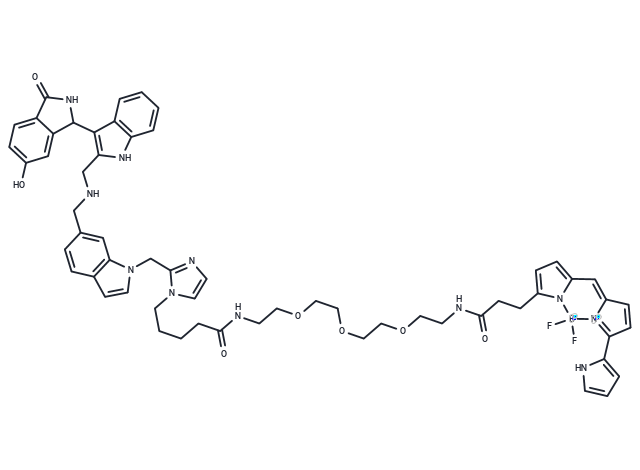 BI 2852 FL