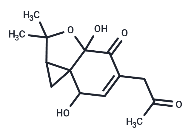 Papyracon D