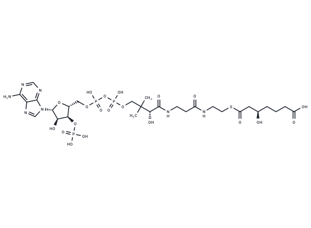 (R)-3-Hydroxypimelyl-CoA