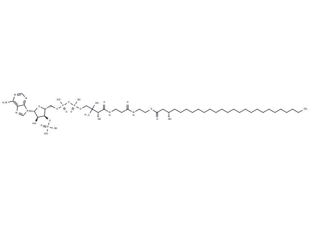 (S)-3-Hydroxyhexacosanoyl-CoA