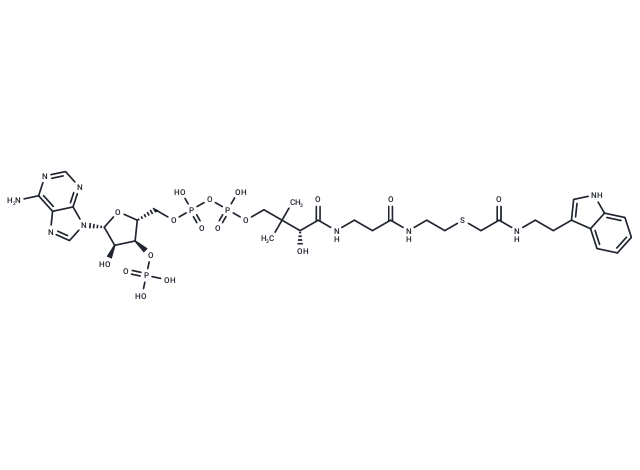 S-[2-[[2-(1H-Indol-3-yl)ethyl]amino]-2-oxoethyl]-COA