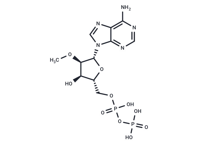 2′-OMe-ADP