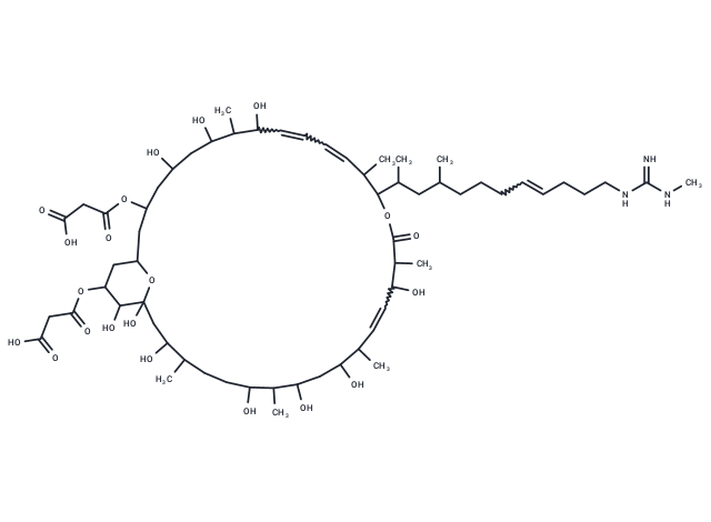 Malonylniphimycin