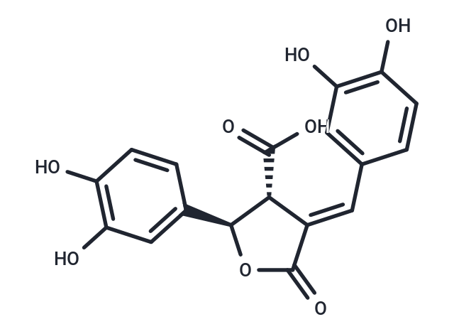 Phellinsin