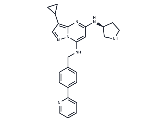 PPA-037