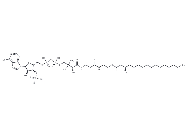 (R)-3-Hydroxypalmitoyl-CoA