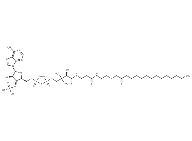 2-Oxopentadecyl-CoA