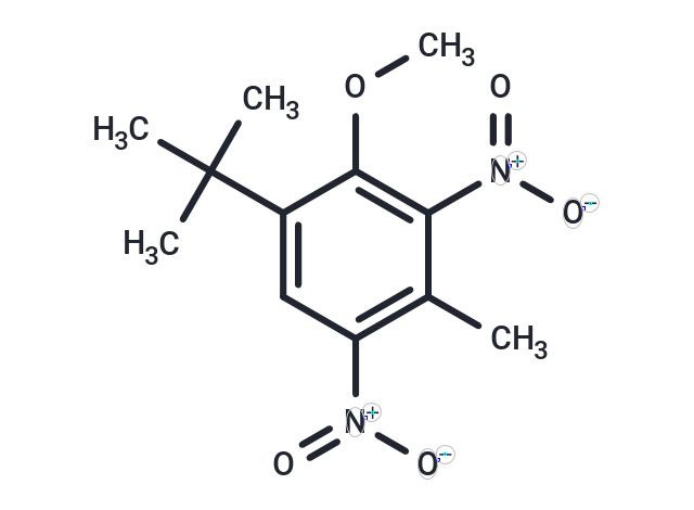 Amber Musk (Standard)