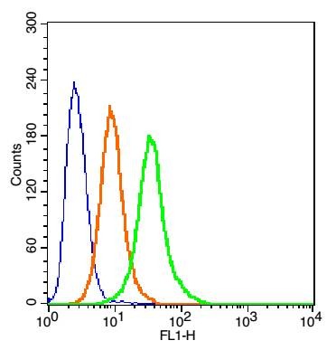 verifiedActivity
