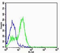 verifiedActivity