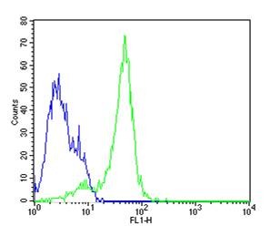 verifiedActivity