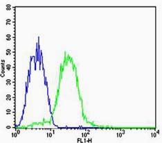 verifiedActivity