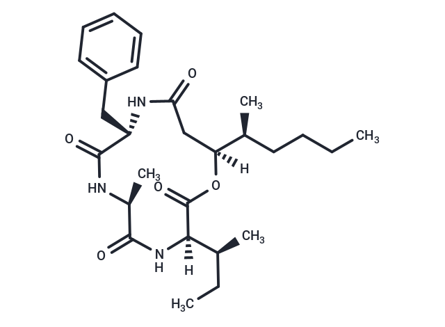 Beauveriolide III
