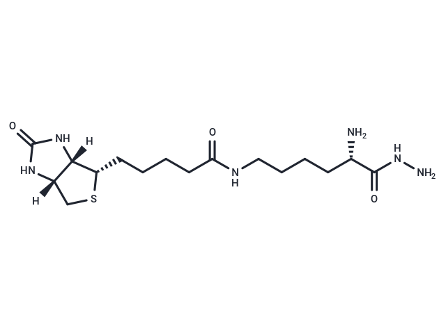 Biocytin hydrazide