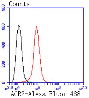 verifiedActivity