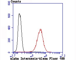 verifiedActivity