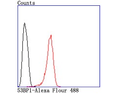verifiedActivity