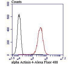 verifiedActivity