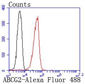 verifiedActivity