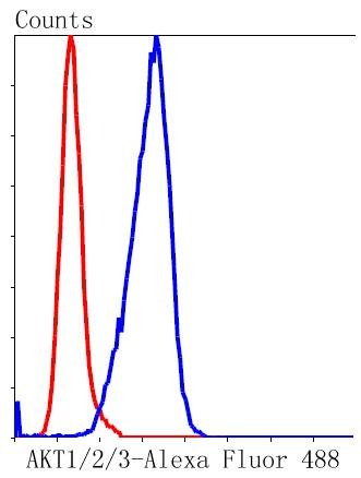 verifiedActivity