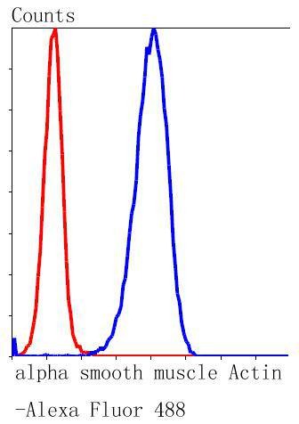 verifiedActivity