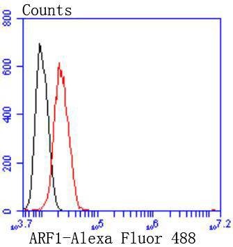 verifiedActivity