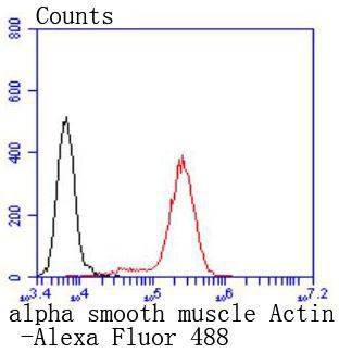 verifiedActivity
