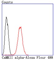 verifiedActivity