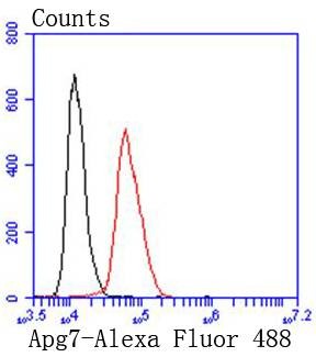 verifiedActivity