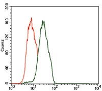 verifiedActivity