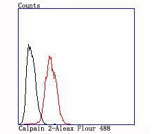 verifiedActivity