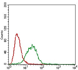 verifiedActivity