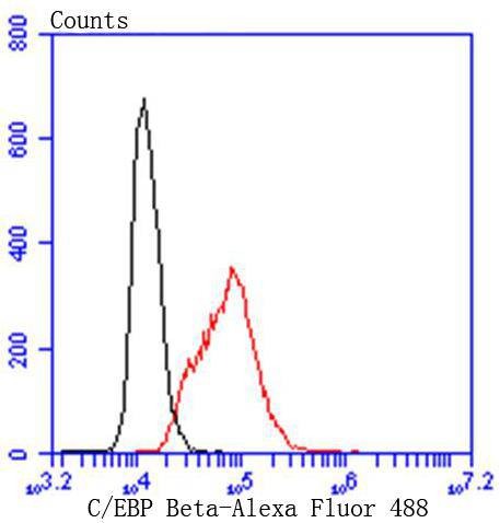 verifiedActivity