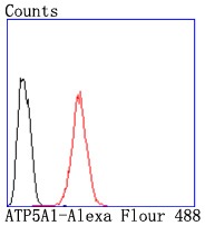 verifiedActivity