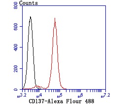 verifiedActivity