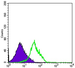 verifiedActivity